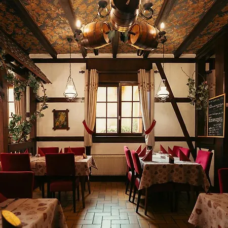 ホテル Restaurant Au Parc Des Cigognes