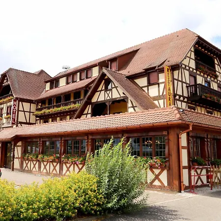 Hotel Au Parc Des Cigognes Kintzheim