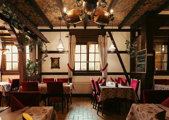 מלון Restaurant Au Parc Des Cigognes